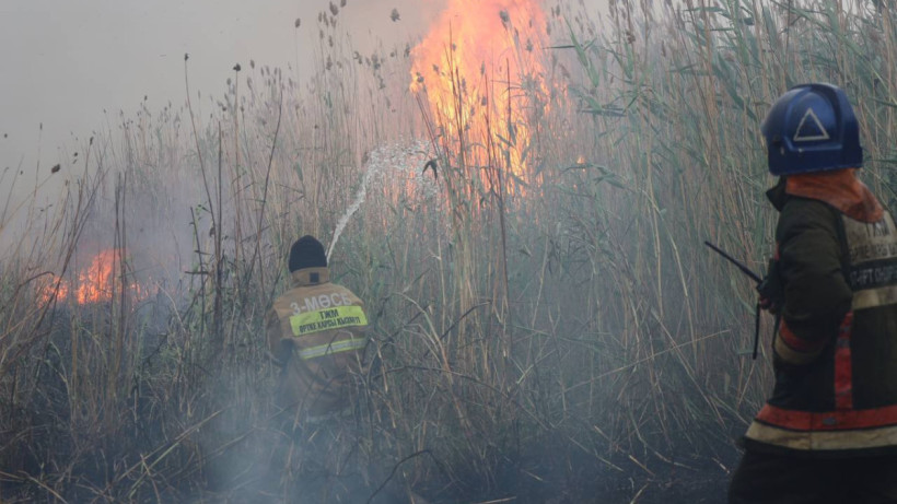  ТЖМ баспасөз қызметі 
