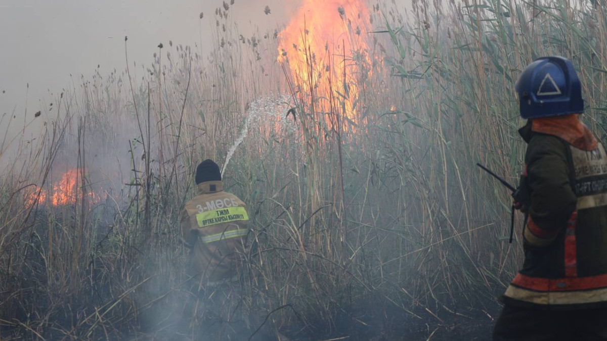  ТЖМ баспасөз қызметі 