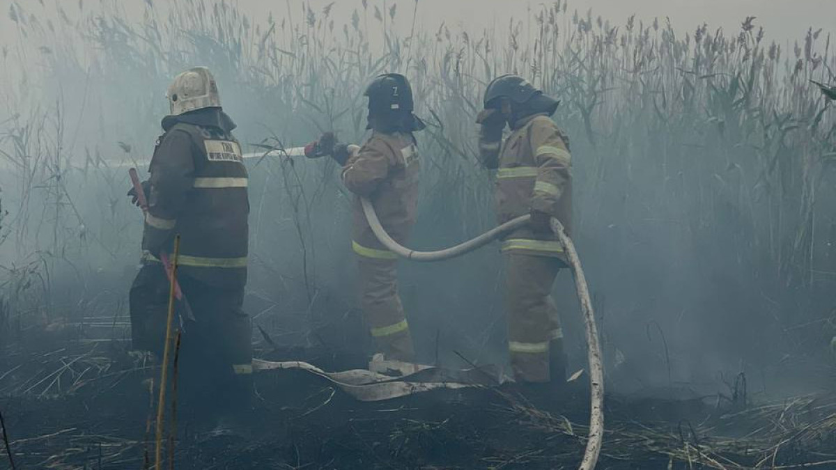  ТЖМ баспасөз қызметі 