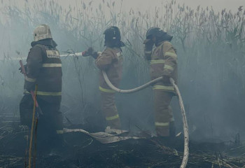 Елорда маңындағы құрғақ шөп өрті оқушауланды