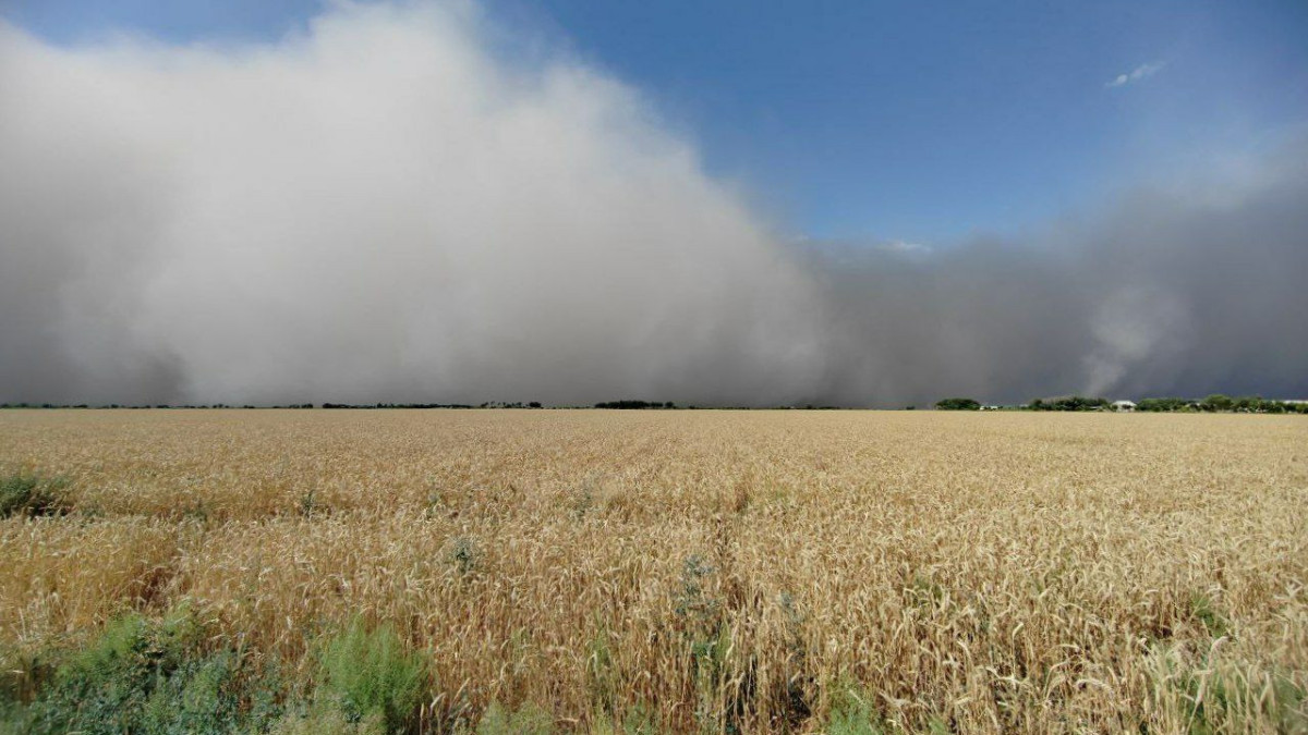 Огромная пыльная буря накрыла большие территории Узбекистана