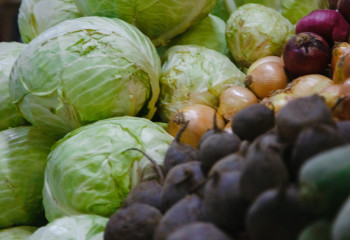 Фермерам южного Казахстана предложили торговать на рынке 