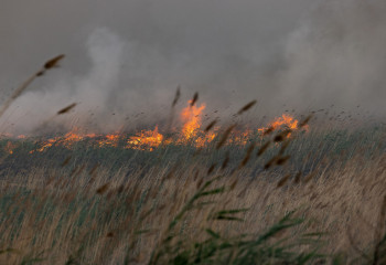 Астанадағы өртті сөндіруге 1-2 апта уақыт керек - министр