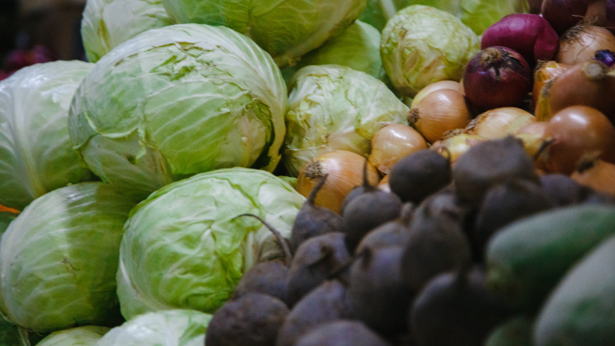  ©El.kz/Жалғасбек ТОҚТАМЫСОВ 