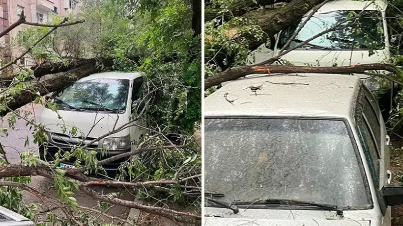  t.me/kris_p_almaty_official 