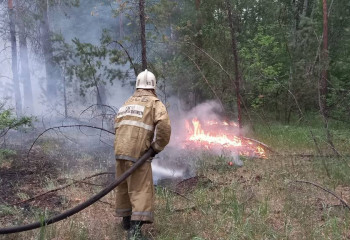 Семейдегі жағдайдан кейін біраз нәрсе өзгеретін шығар - орманшы