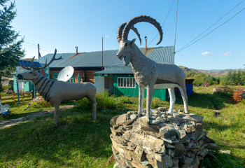 174 сельским акимам Туркестанской области выписаны штрафы по 5 млн тенге за приписки