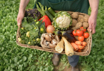 EAEU intends to develop organic production