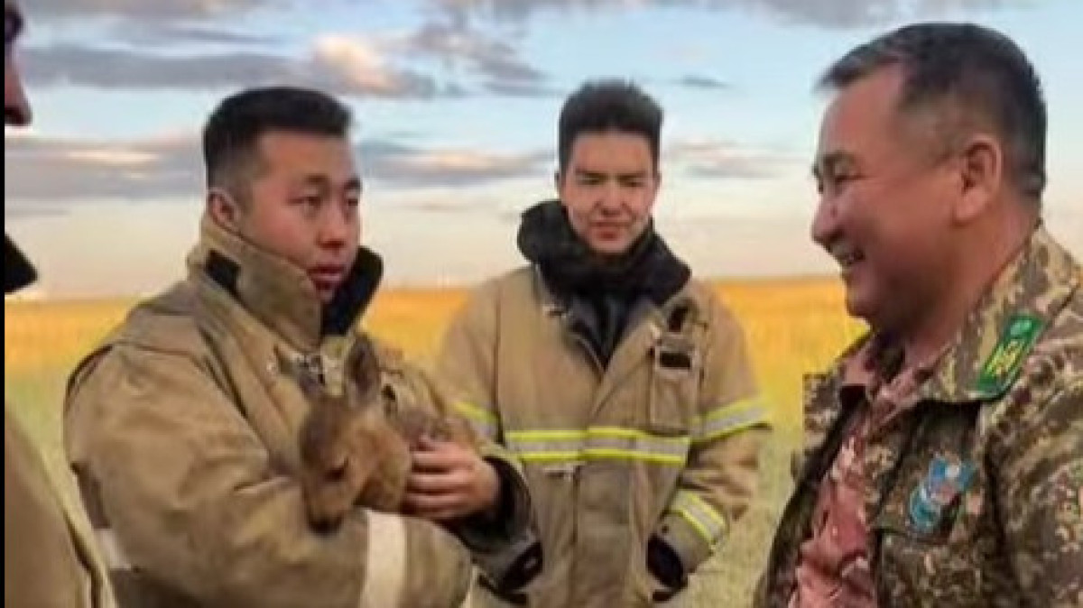 На горящем Талдыколе пожарные спасли оленёнка