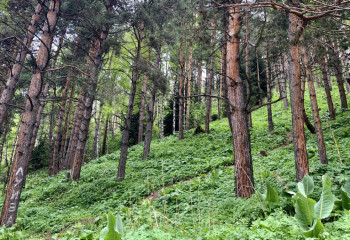 Самые низкие зарплаты в Казахстане у работников сельского, рыбного и лесного хозяйства - аналитики