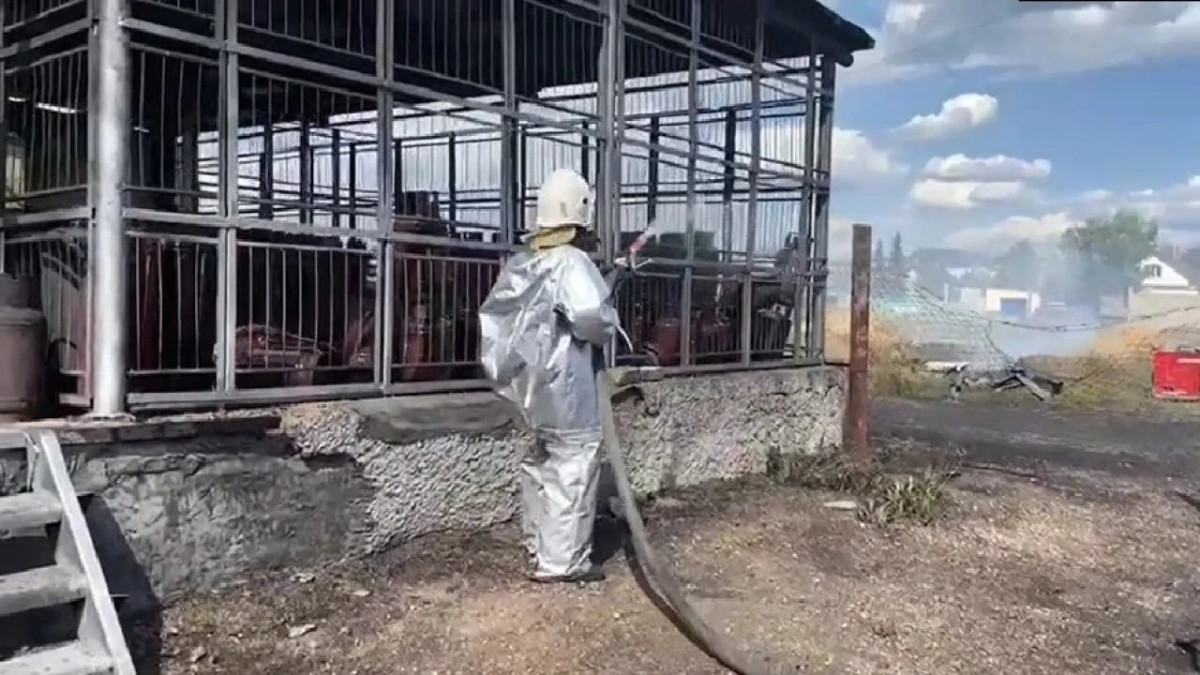  ДЧС ВКО 