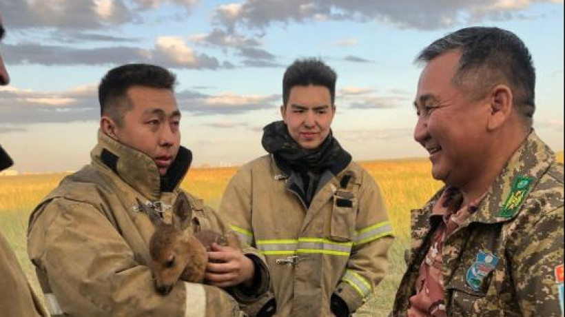  ТЖМ баспасөз қызметі 