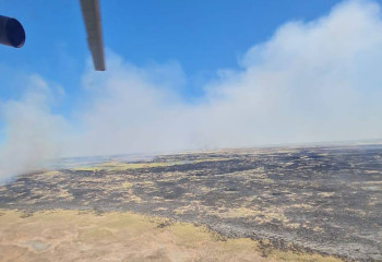 Пожар вспыхнул на территории Иле-Балхашского резервата