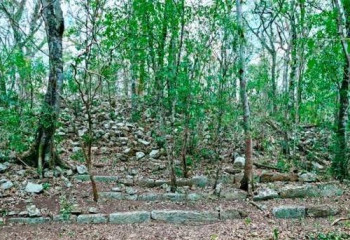 В джунглях Мексики найден затерянный город майя