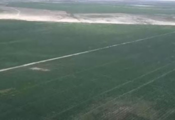 В Атырауской области начался сбор урожая