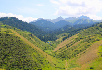 Елнұр Ахметов: Адами факторлар табиғатқа ең үлкен зиян алып келеді