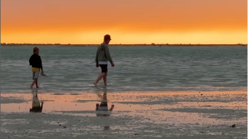  Видеодан кадр 