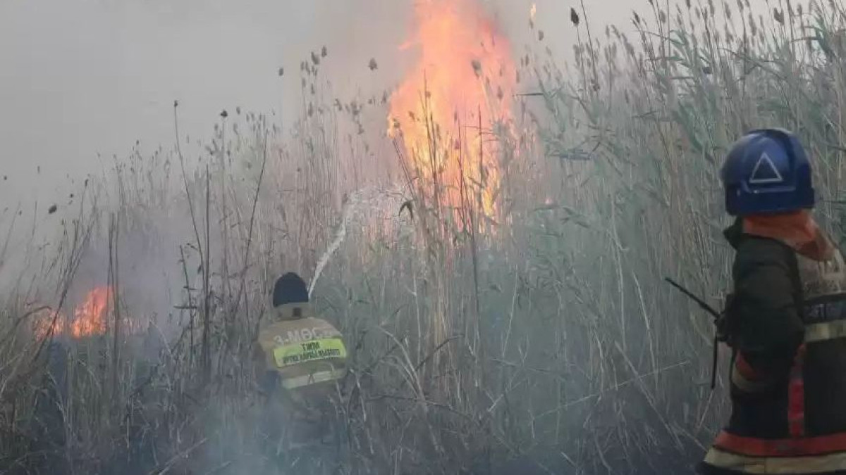  ҚР ТЖМ баспасөз қызметі 