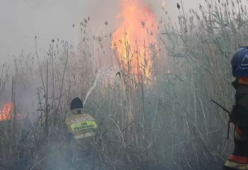 Астананың іргесіндегі 80 гектар аумақтағы өрт сөндірілді