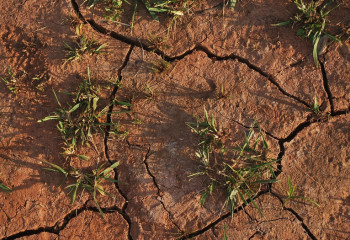 Ұлытау облысында биыл қуаңшылық болуы мүмкін