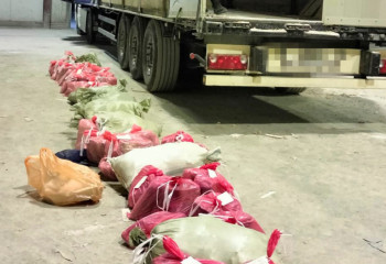 ҰҚК есірткіні контрабандалық жолмен кіргізудің жолын кесті