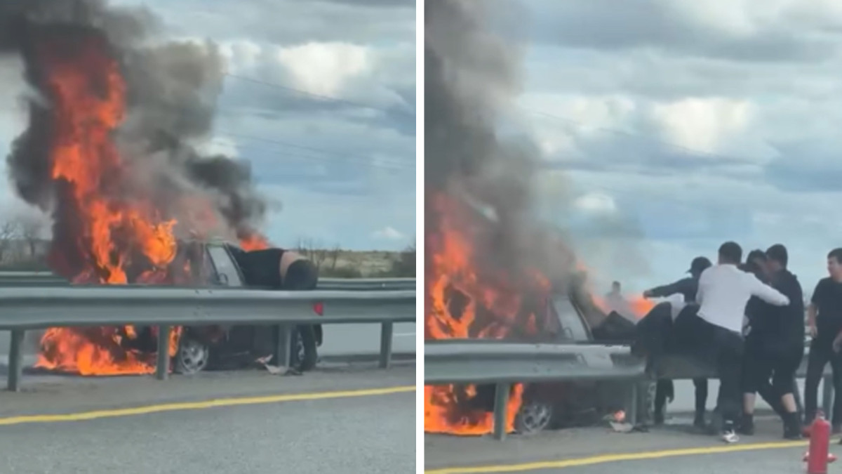  Видеодан кадр 