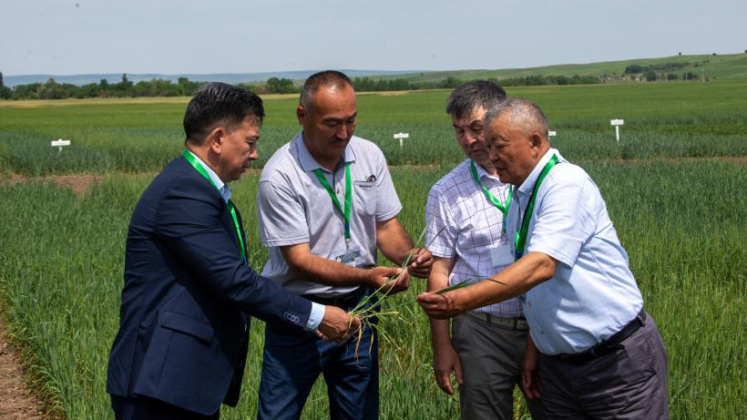  пресс-служба акимата Жетысуской области 