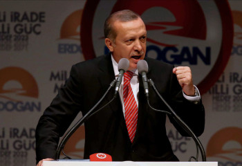 Эрдоган выразил полную поддержку Путину