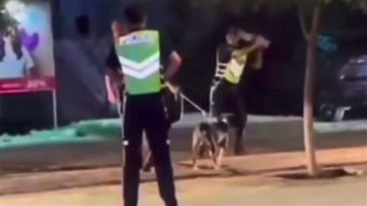 Пьяный мужчина натравил бойцовского пса на соседей в Атырау
