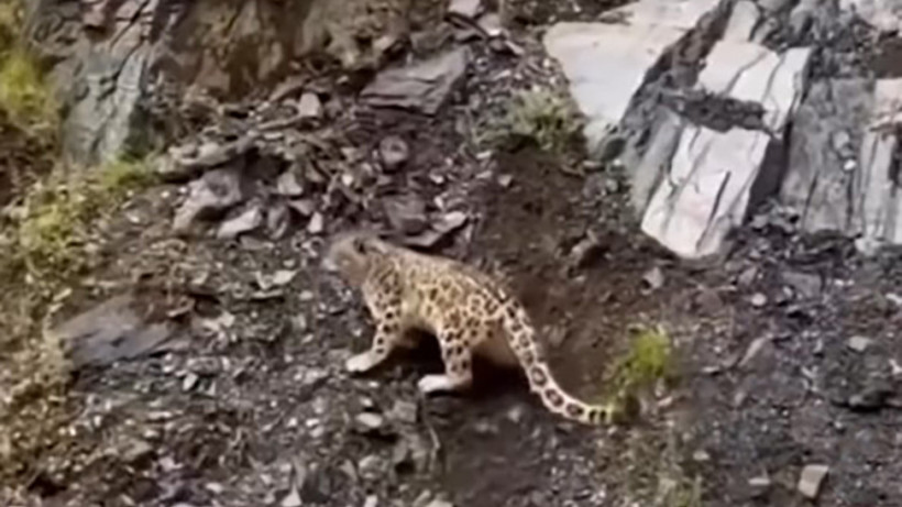  Кадр из видео 