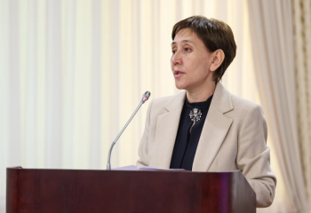 Дүйсенова Әлеуметтік кодекстің іске асырылуы туралы айтты