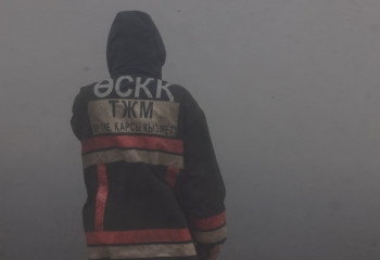 Сенаторы требуют прозрачности в принятии мер по пожарной безопасности