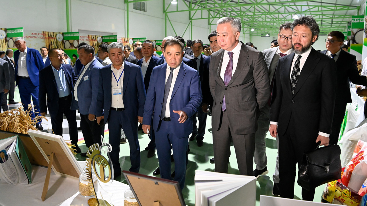  primeminister.kz 