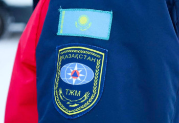 Более 100 тонн воды сбросили на горящий камыш в Иле-Балхашском резервате