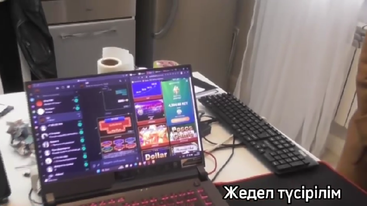  Видеодан кадр 