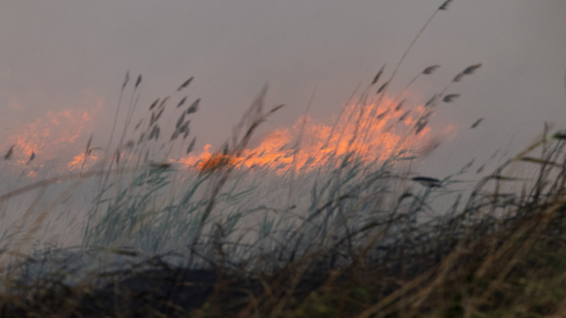  ©El.kz/Артем ЧУРСИНОВ 