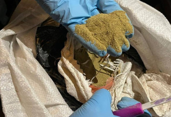 Петропавлда жертөледен бір центнерден астам марихуана тәркіленді