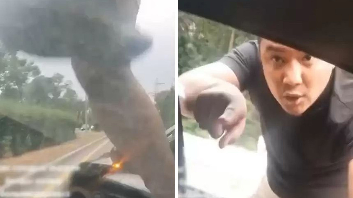  Видеодан кадр 