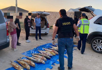 До трех лет тюрьмы грозит мангистаусцам за 17 осетров