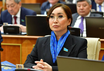 Шетелдікпен некелескендерге салық салына ма? Қарақат Әбден жауап берді