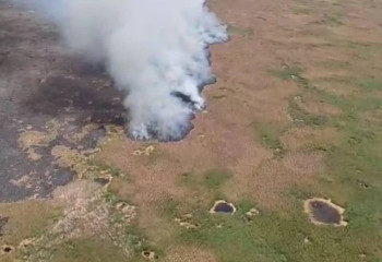 Алматы облысында қамыс өртеніп жатыр