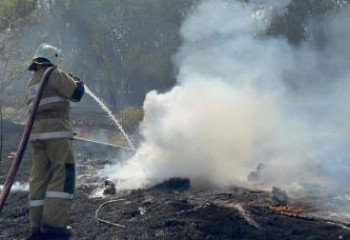 В Западно-Казахстанской области загорелся сухостой