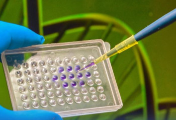 Казахстанские ученые одними из первых исследуют гены гибридных верблюдов