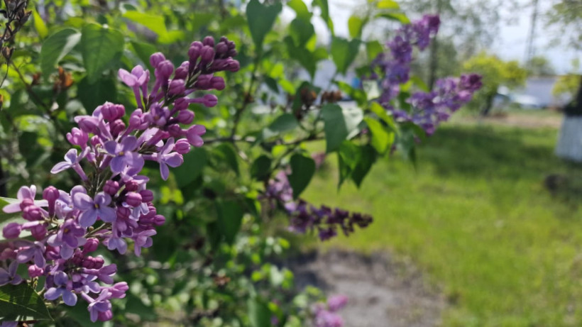  ©EL.kz/Анастасия ДЗЮБАК 