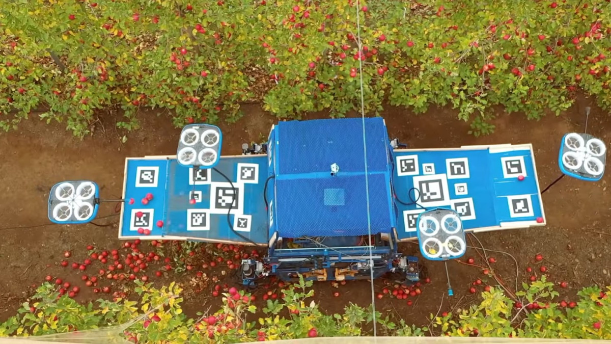  Кадр из видео 