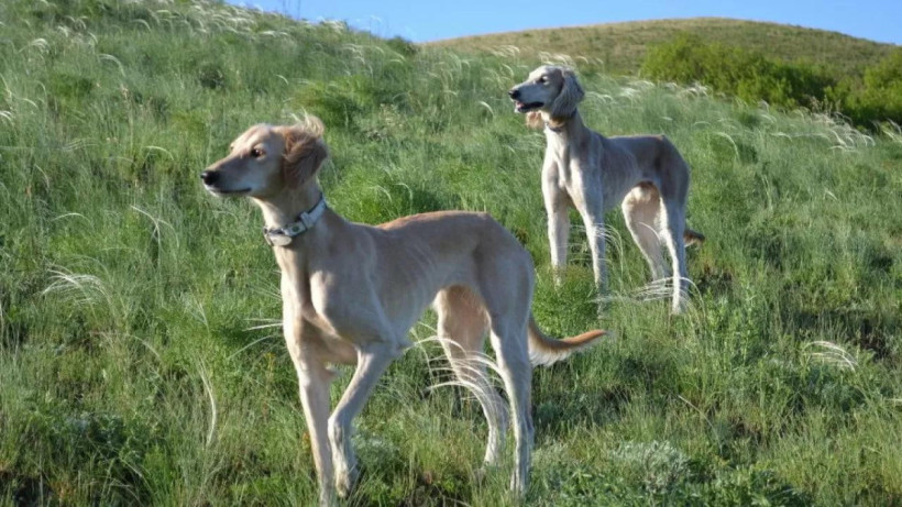  Экология және табиғи ресурстар министрлігі 