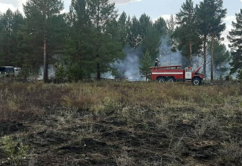 Абай облысының Бесқарағай ауданында орман жамылғысы өртенді