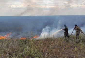Алматы облысындағы қамыстан шыққан өрт бірнеше күнде сөндірілді