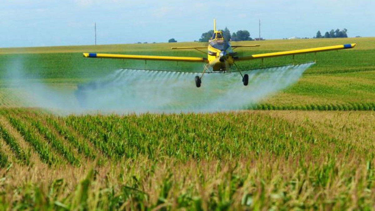  пресс-служба МСХ 