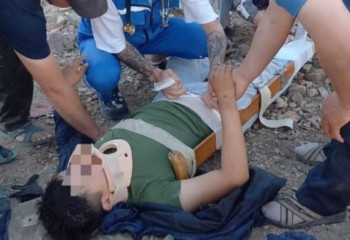 Аманат партиясы филиалының басшысы екі жасөспірімді және 9 сиырды қағып кетті